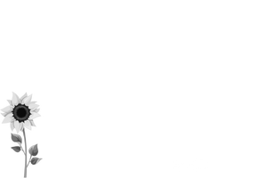 배경