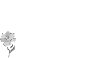 배경