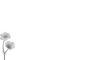 배경